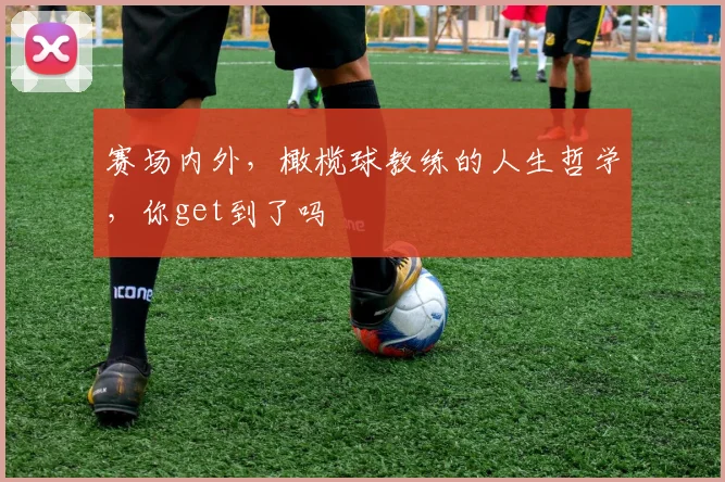 赛场内外，橄榄球教练的人生哲学，你get到了吗