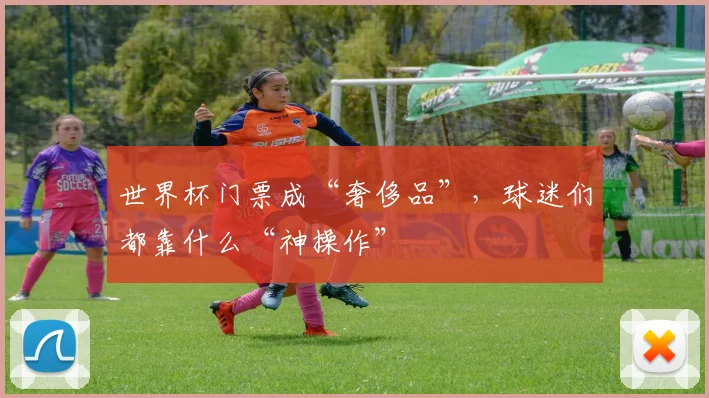 世界杯门票成“奢侈品”,球迷们都靠什么“神操作”
